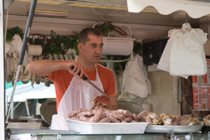 Butcher at Lavaur market