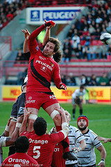 Stade Toulousain rugby